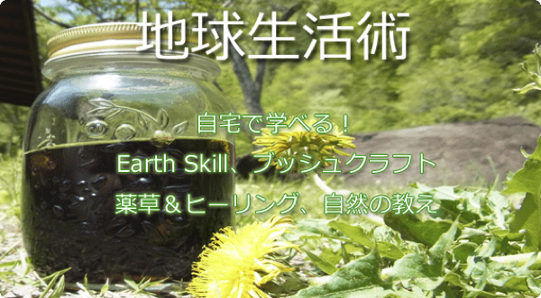 地球生活術