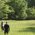 【平日開催 お申込開始】マントラッキング ＆ Wilderness Awareness 〜 古来の「追跡術」に触れる二日間
