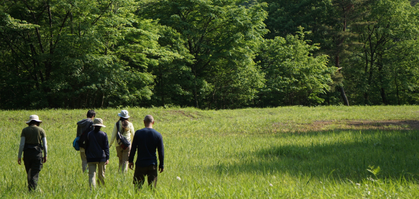 【開催決定！】スカウトプロテクション
